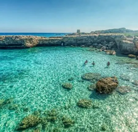 Sea